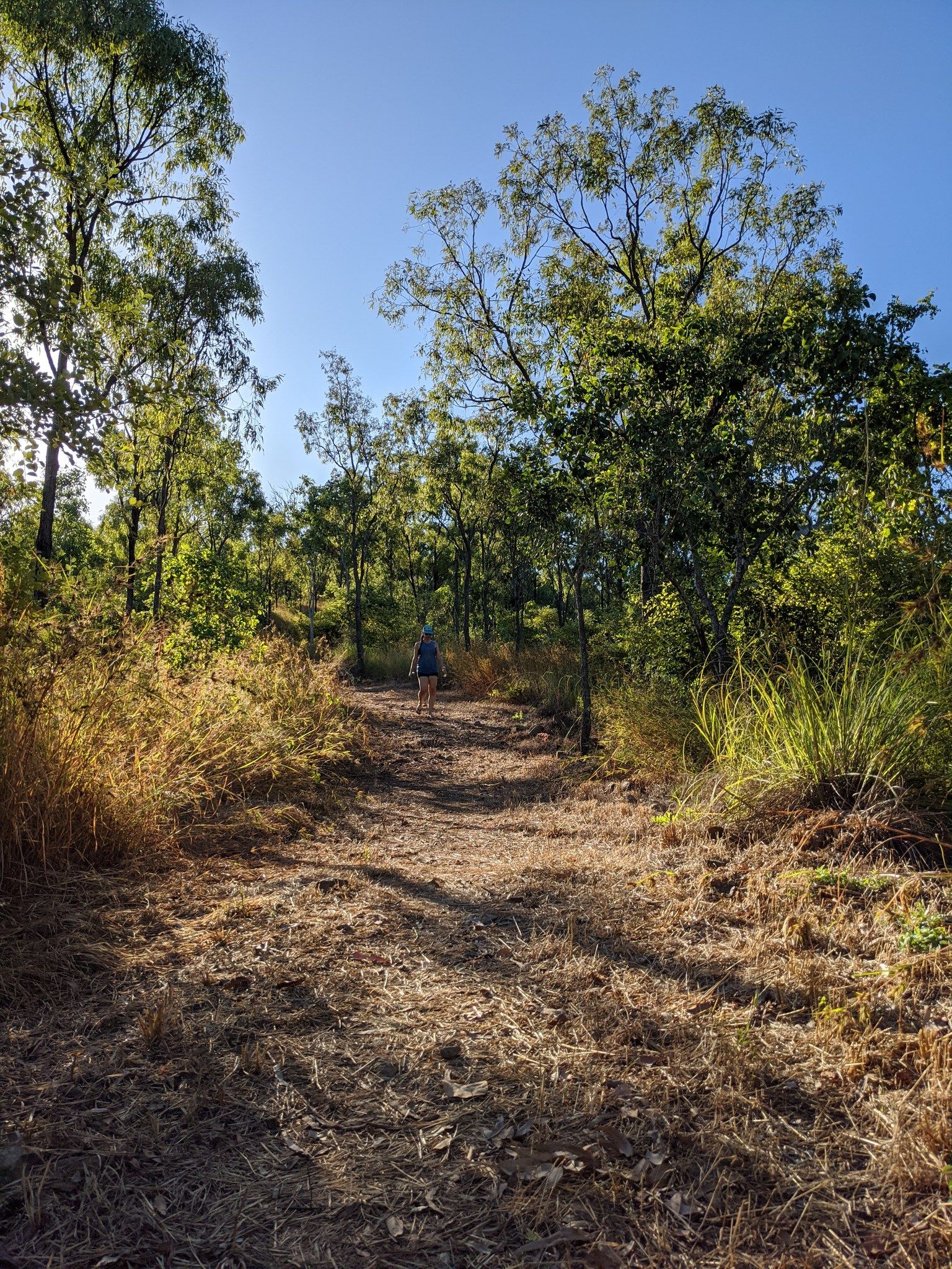 Moongun (Bindal Ridge) fitness walk